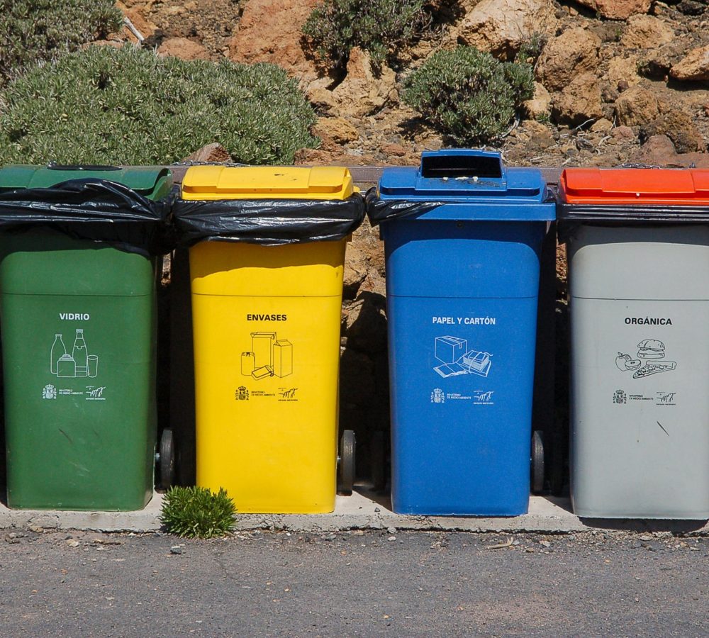 pexels-jan-van-der-wolf-11680885-10368942